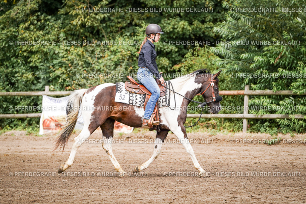 DSC07775 | Pferdegrafie