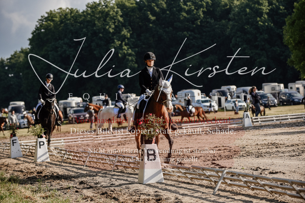 DSC_7880 | Pferde- und Turnierfotografie in Westsachsen. Pferdeportraits, Auftragszeichnungen und intuitive Kunst.