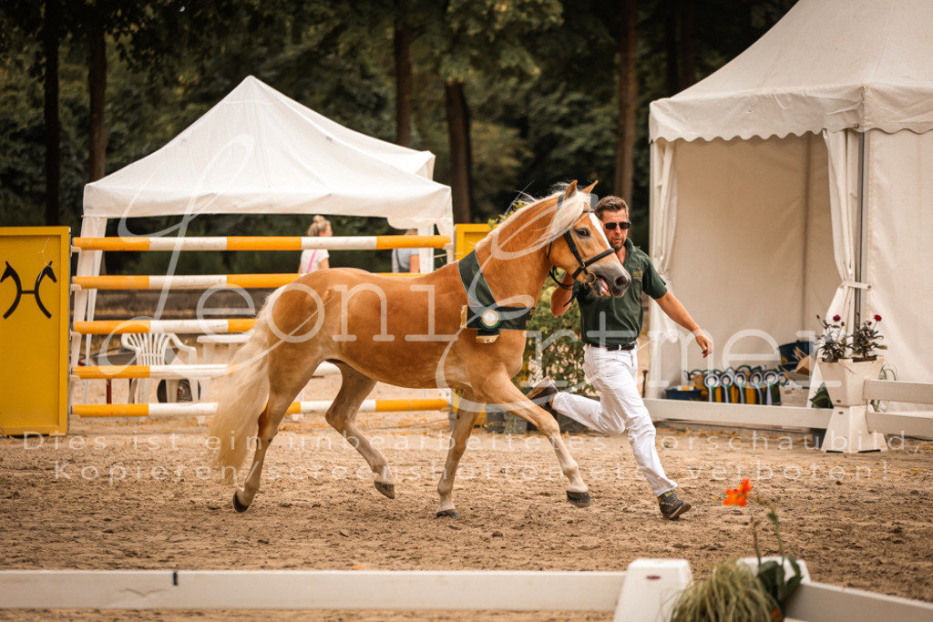 06.So00170 | Leoni Ertmer Photography - Realisiert mit Pictrs.com