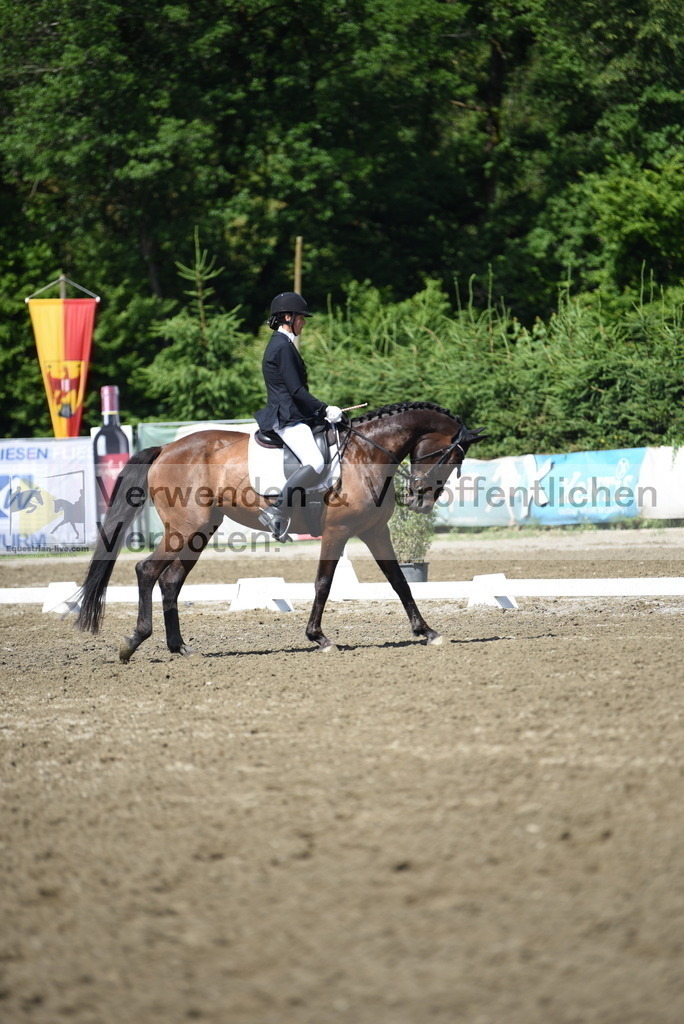 DSC_0106 | equestrian-live-com