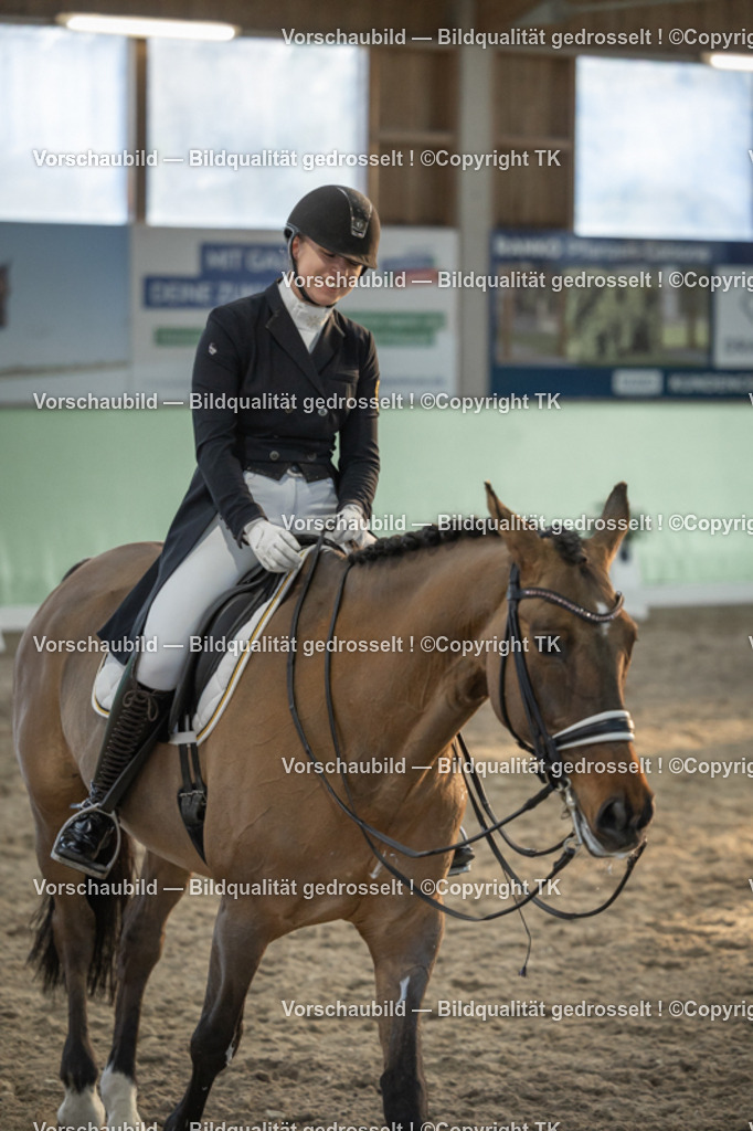 _D5A0937 | Emotionale Pferde- & People-Fotografie rund um Heidelberg, Leimen & Umgebung. Natürliche Fotos von Pferd, Mensch & Familie. Jetzt Termin sichern!