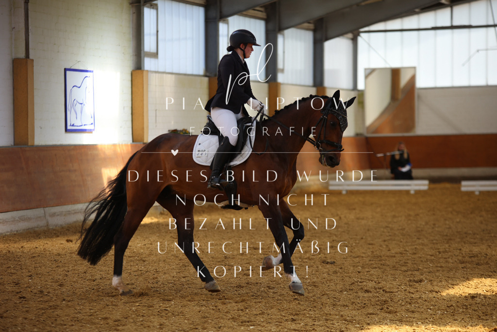 IMGT5078 | pl-fotografie