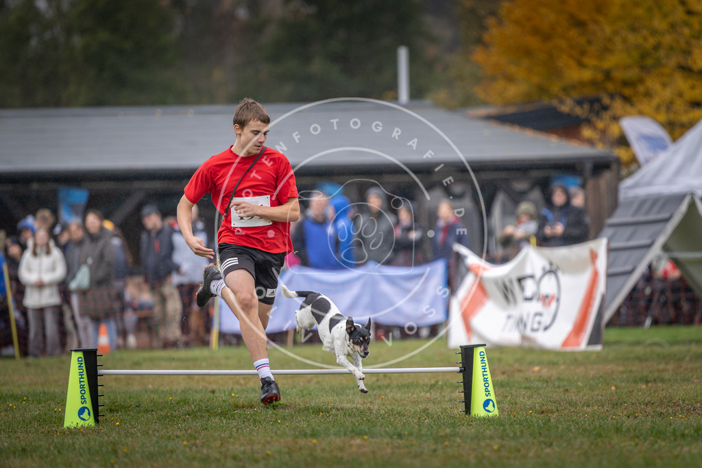 Pfotenfotografie_DV3A9907 | Hundefotografie, Tierfotograf, Pfotenfotografie, Fotoshooting Hund, Hunde Portrait, Hundesport, Hundeportraits, Heideshooting, Hunde, Sportfotograf, Hundefotograf, Turnierhundsport, THS,  - Realisiert mit Pictrs.com