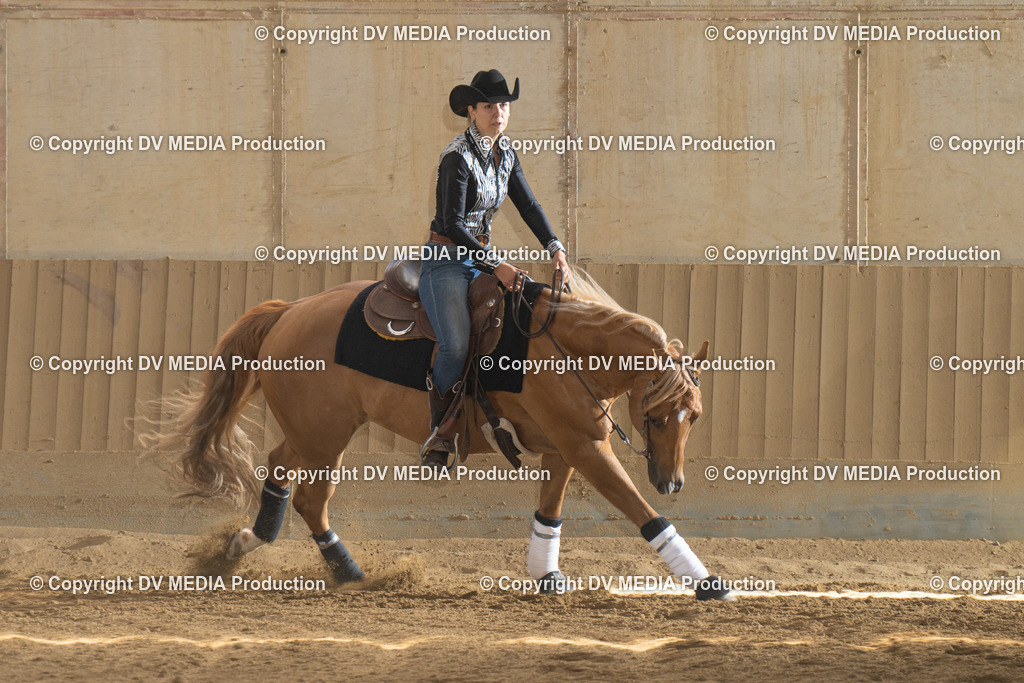 DSC00321 | dv-media-shop - Realisiert mit Pictrs.com