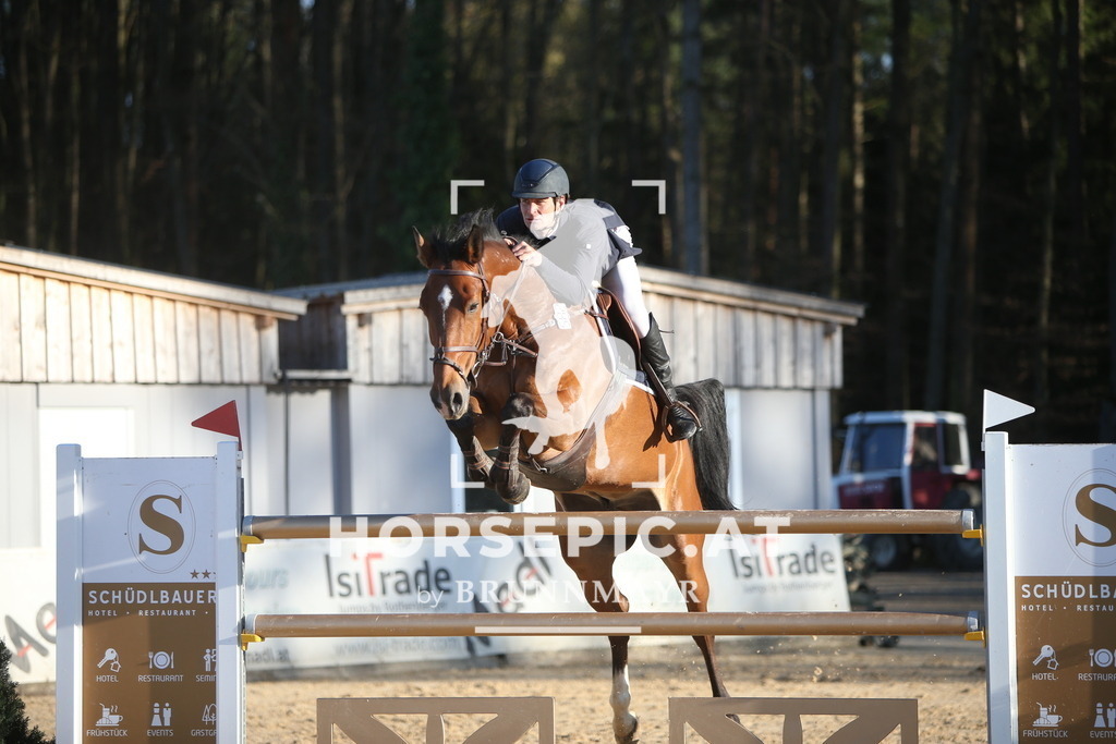 PP016227 | Willkommen bei Brunnmayr - Design & Fotografie – Ihrem Spezialisten für Reitturniere und Pferdeveranstaltungen in Oberösterreich, Salzburg und Bayern! Seit über 17 Jahren sind wir leidenschaftlich dabei.