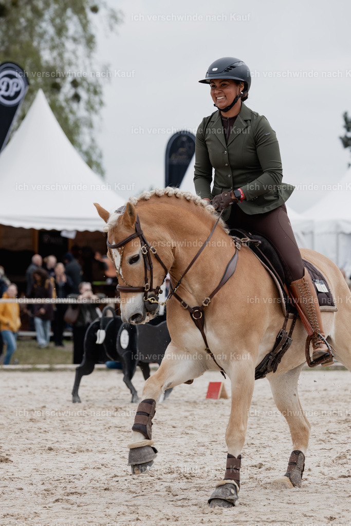 PI26_SP_StoibphotographyC2_C0371.jpg | working equitationturnier fotograf videograf stoibphotography marixx film working equitation deutschland reitsport turnierfotografie eventfotografie equestrian events