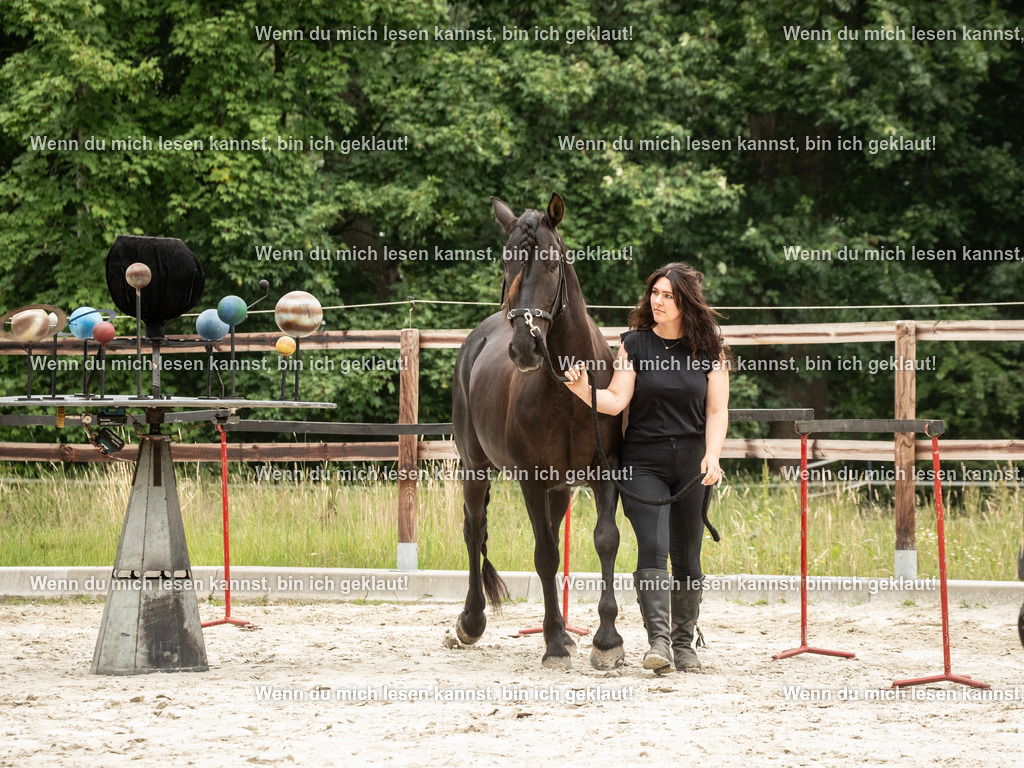 598A6581 | photographylinaismer - Realisiert mit Pictrs.com