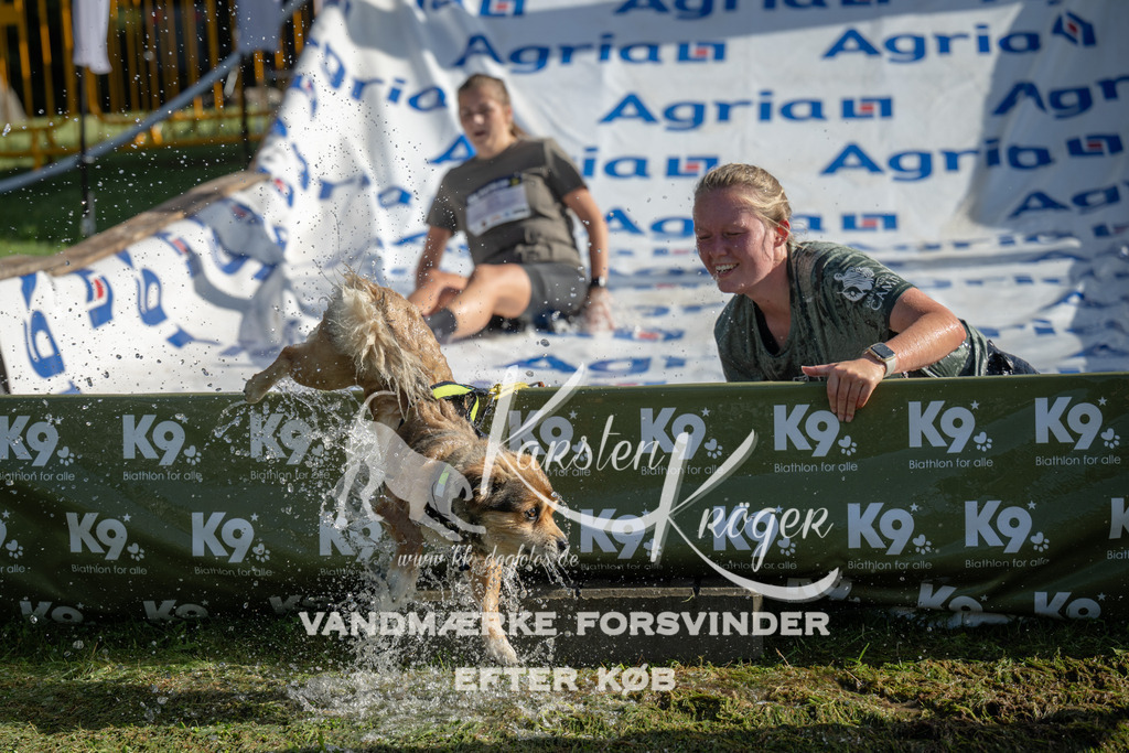 0943_ZZ96824 | kk-dogfotos