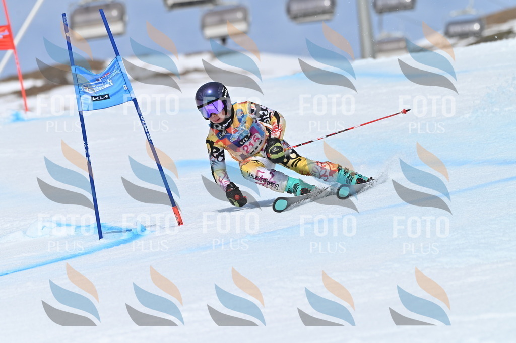 BGV_1219 | holidayphoto