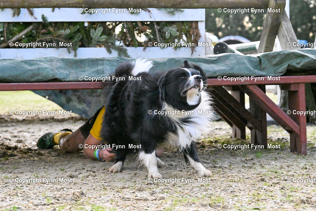 DSC_3564 | Hallo und herzlich Willkommen auf meiner Shop-Seite Fynn Most.

Ich wünsche Dir viel Spaß beim stöbern durch die Bilder, wenn Du Fragen hast oder Bilder vermisst, kannst du mir gerne eine Nachricht schreiben. - Realisiert mit Pictrs.com
