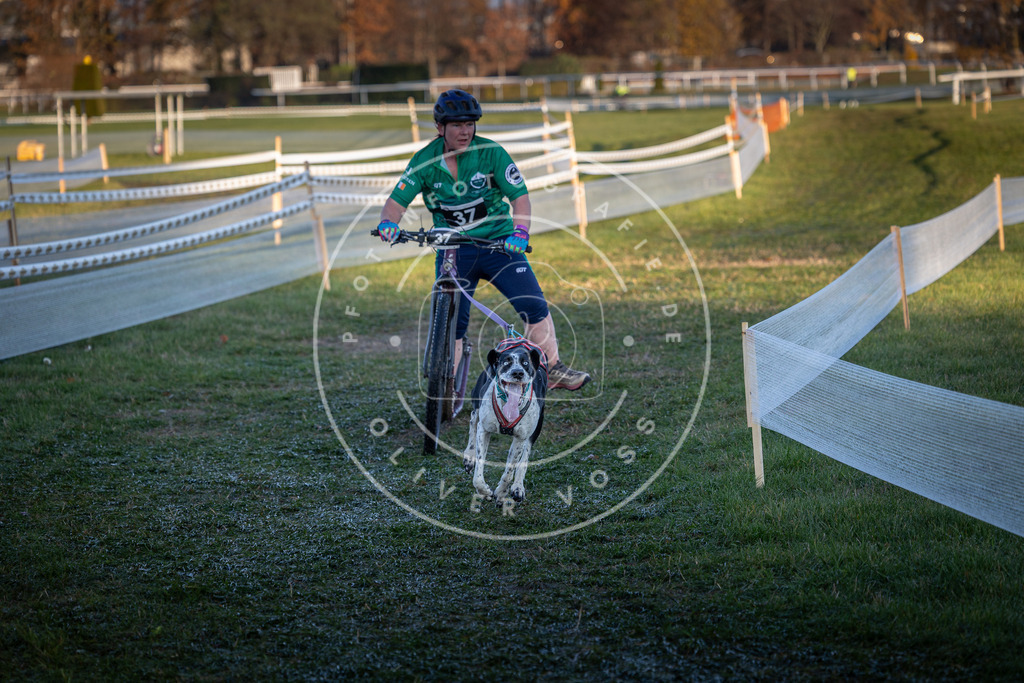 CaniXpix_0L8A2354 | Hundefotografie, Tierfotograf, Pfotenfotografie, Fotoshooting Hund, Hunde Portrait, Hundesport, Hundeportraits, Heideshooting, Hunde, Sportfotograf, Hundefotograf, Turnierhundsport, THS,  - Realisiert mit Pictrs.com