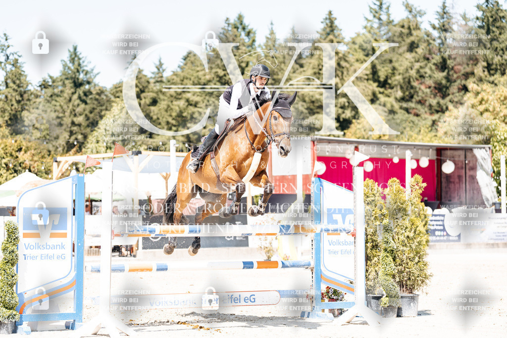 CK900604 | Turnierfotografie Pferdefotografie Trier Rheinland-Pfalz Pferdesport Reitsport Tierfotografie Sportfotografie Pferdevideo Pferdevideografie Equestrianvideography equestrianphotography  - Realisiert mit Pictrs.com