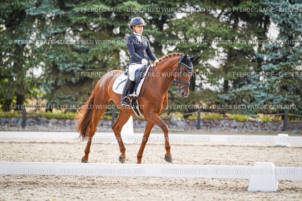 DSC00696 | Pferdegrafie