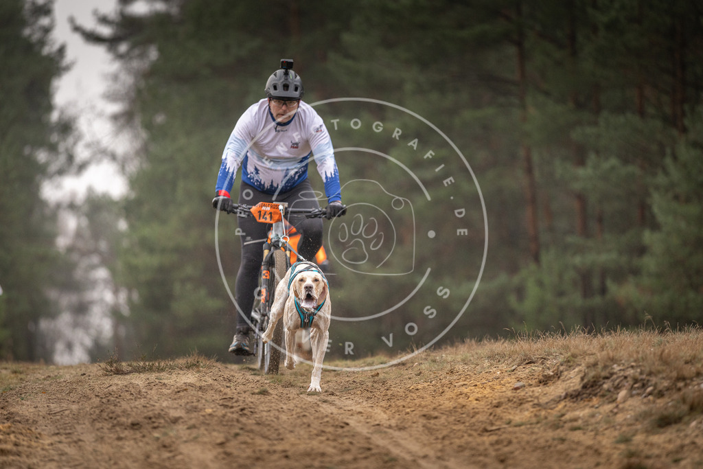 Pfotenfotografie_DV3A3932 | Hundefotografie, Tierfotograf, Pfotenfotografie, Fotoshooting Hund, Hunde Portrait, Hundesport, Hundeportraits, Heideshooting, Hunde, Sportfotograf, Hundefotograf, Turnierhundsport, THS,  - Realisiert mit Pictrs.com