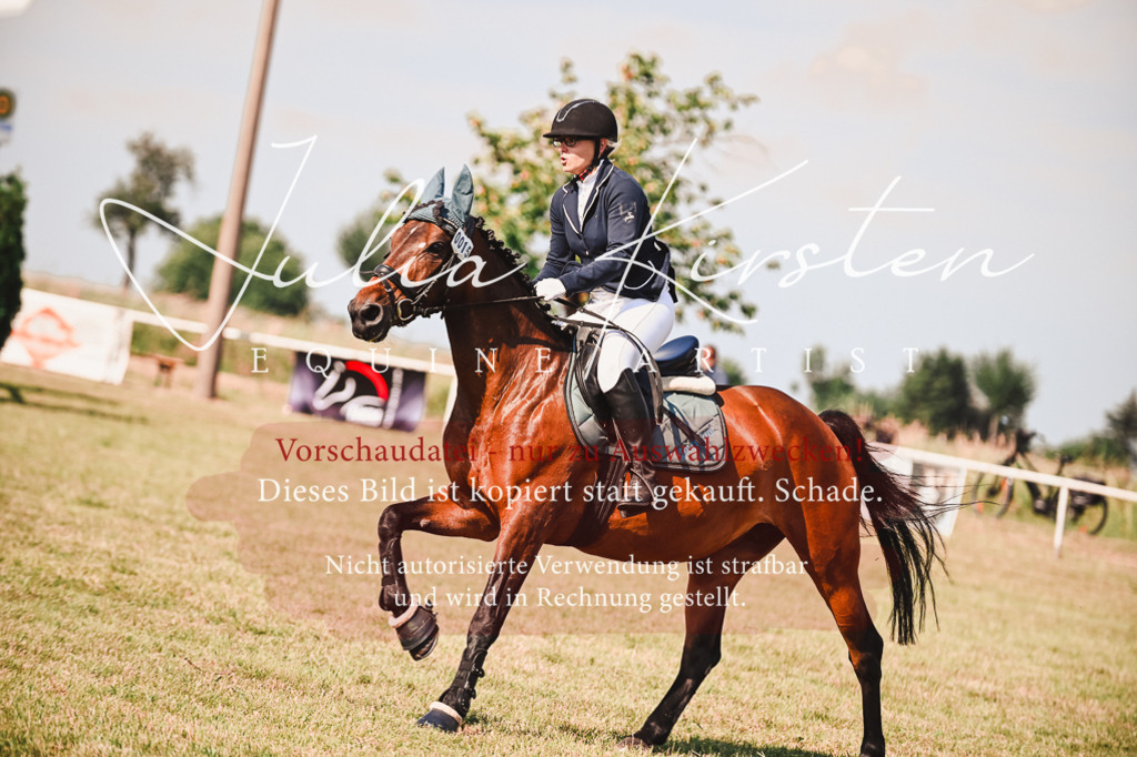 DSC_7379 | Pferde- und Turnierfotografie in Westsachsen. Pferdeportraits, Auftragszeichnungen und intuitive Kunst.