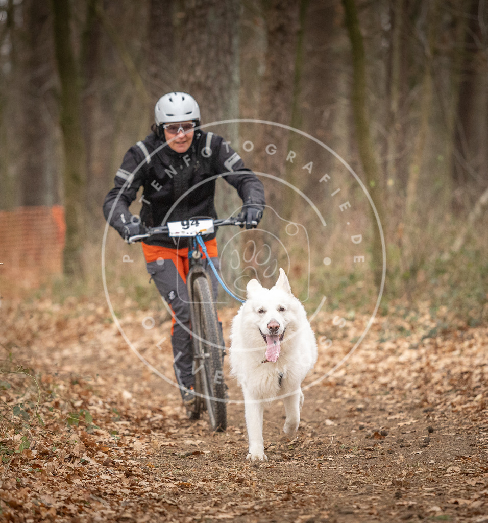 Pfotenfotografie_DV3A7220 | Hundefotografie, Tierfotograf, Pfotenfotografie, Fotoshooting Hund, Hunde Portrait, Hundesport, Hundeportraits, Heideshooting, Hunde, Sportfotograf, Hundefotograf, Turnierhundsport, THS,  - Realisiert mit Pictrs.com