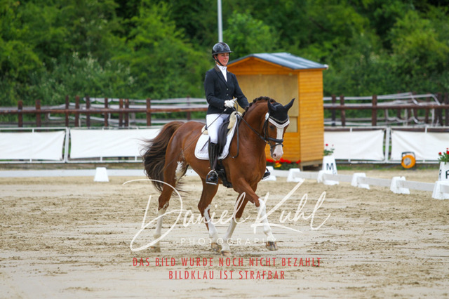 DKP46305 | Turniersportfotografie; Pferdefotografie; Dressurfotografie