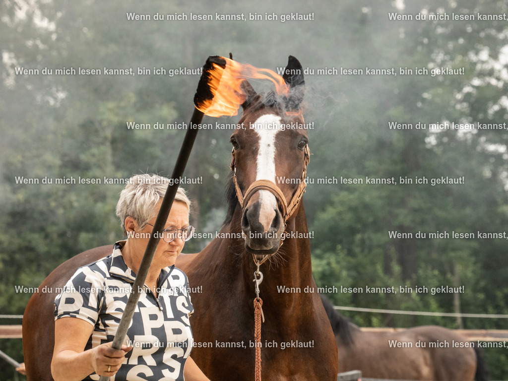 598A8030 | photographylinaismer - Realisiert mit Pictrs.com