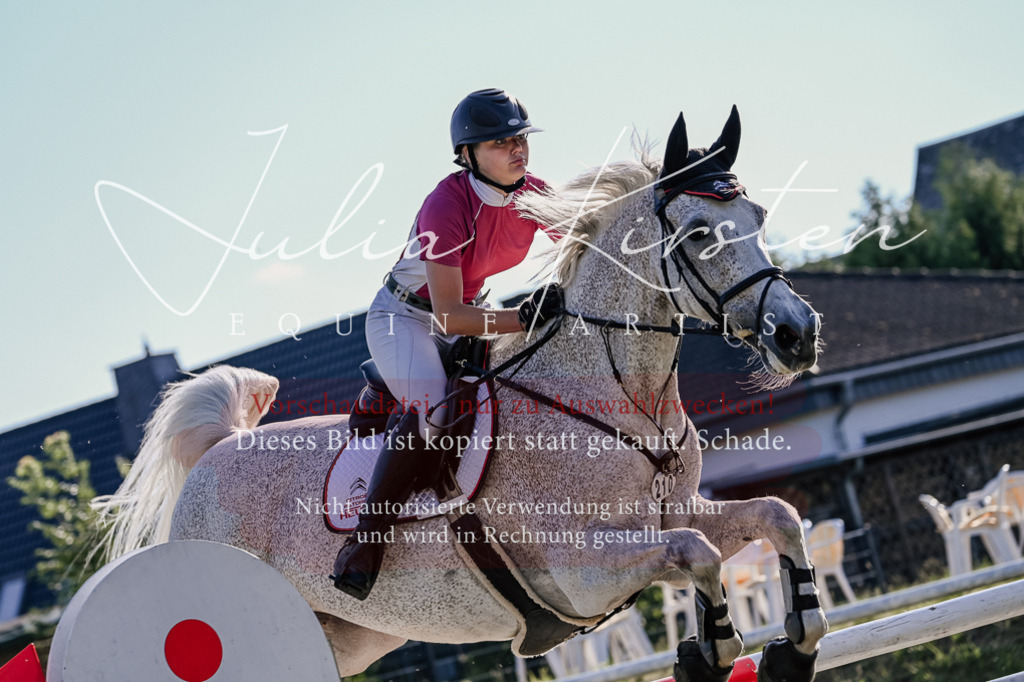 DSC_3018 | Pferde- und Turnierfotografie in Westsachsen. Pferdeportraits, Auftragszeichnungen und intuitive Kunst.