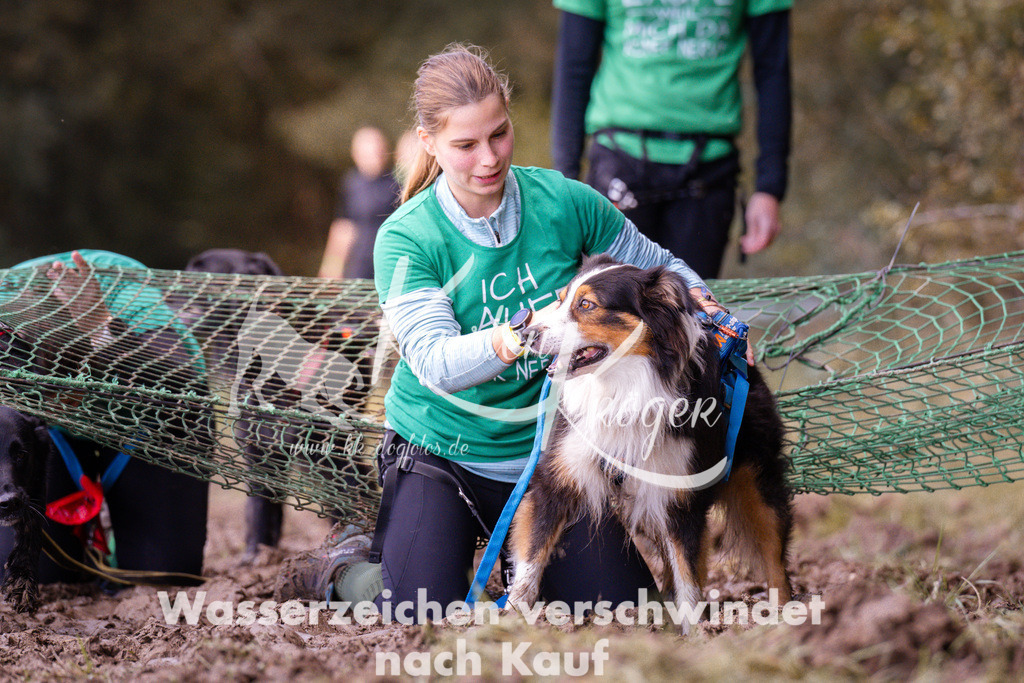 1216_ZZ92853 | kk-dogfotos