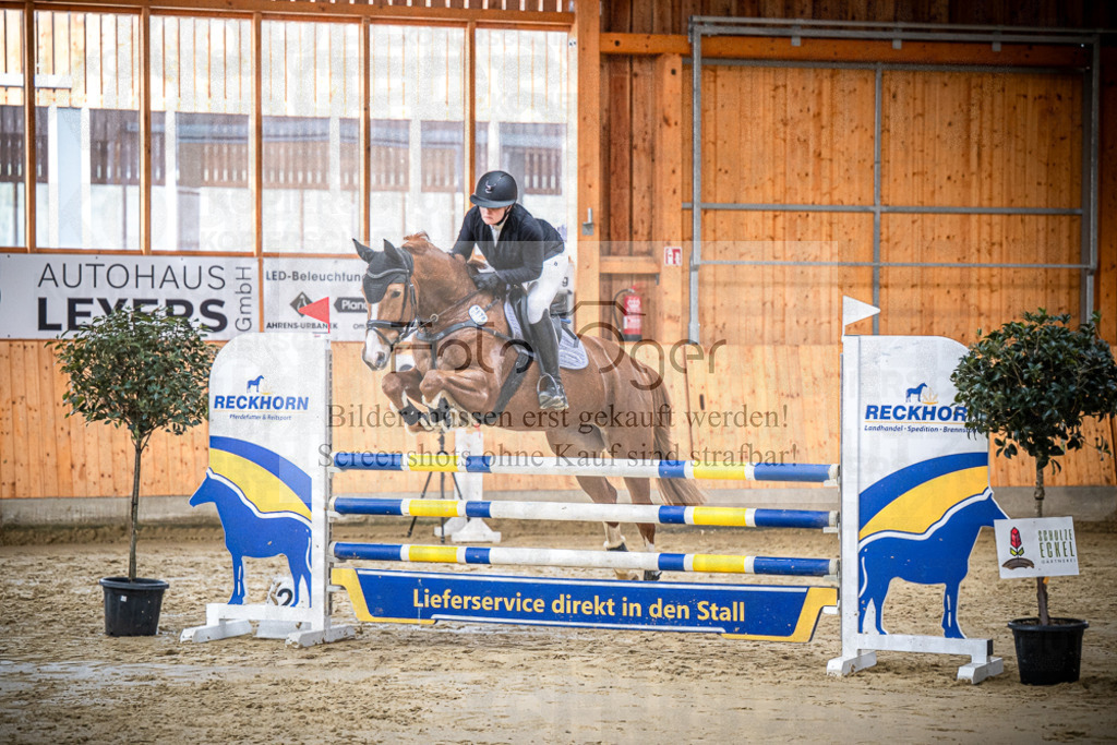 DOS_1264 | Entdecke hochwertige Reitturnierfotos von Foto Oger. Professionell, emotional und authentisch – jetzt Lieblingsmomente im Shop bestellen.Deutschlandweite Turnierfotografie. - Realisiert mit Pictrs.com