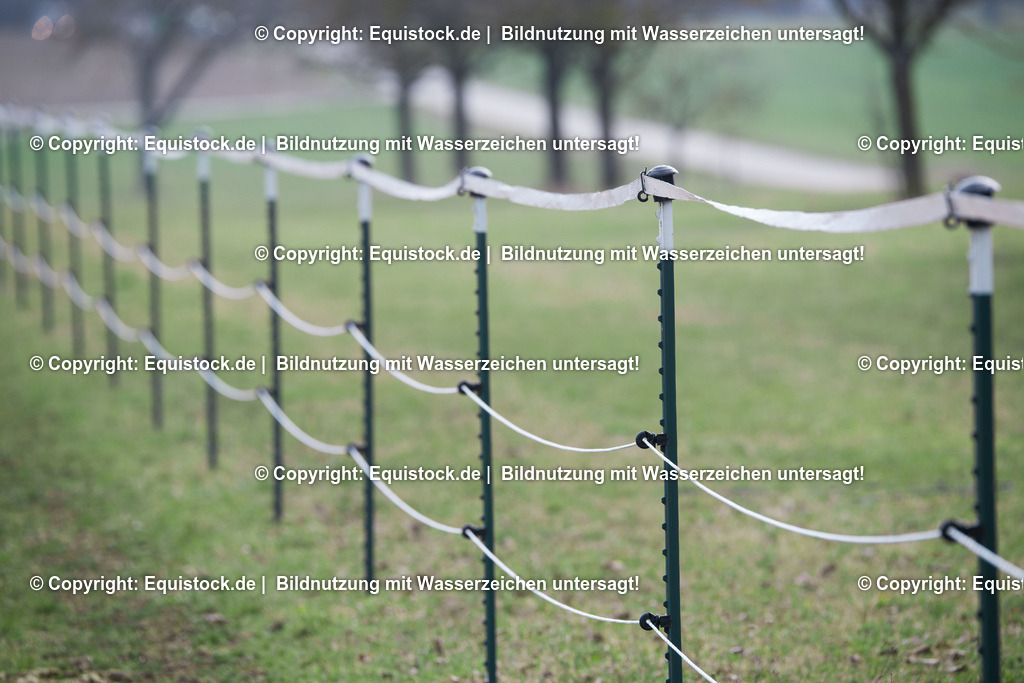 _TPD0946 | equistock