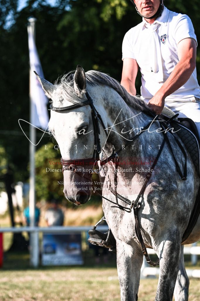 DSC_3142 | Pferde- und Turnierfotografie in Westsachsen. Pferdeportraits, Auftragszeichnungen und intuitive Kunst.