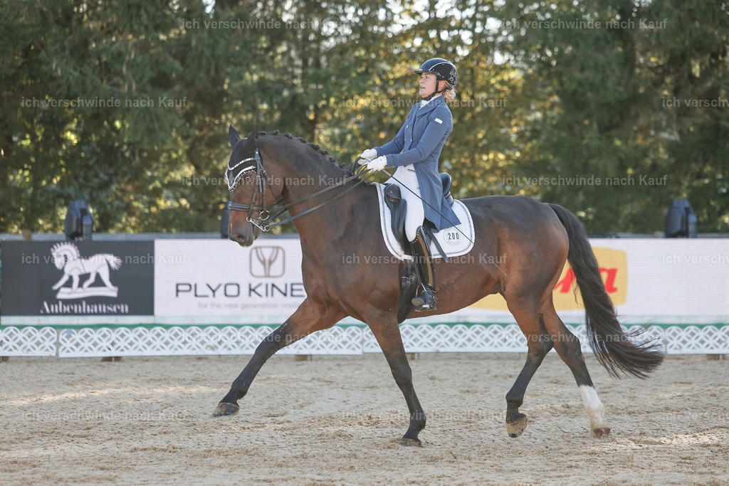 09_1-200-DRESSUR  S_  -StoibPH-5525 | working equitationturnier fotograf videograf stoibphotography marixx film working equitation deutschland reitsport turnierfotografie eventfotografie equestrian events
