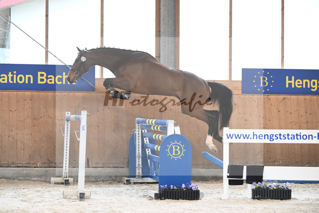 Kat-Nr. 19 Vincero v. Vingino_Pol AG_7240141 | hf-fotografie - Realisiert mit Pictrs.com