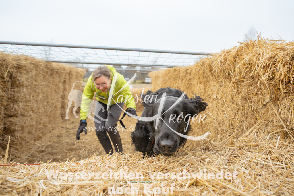 0945_ZZ99862 | kk-dogfotos