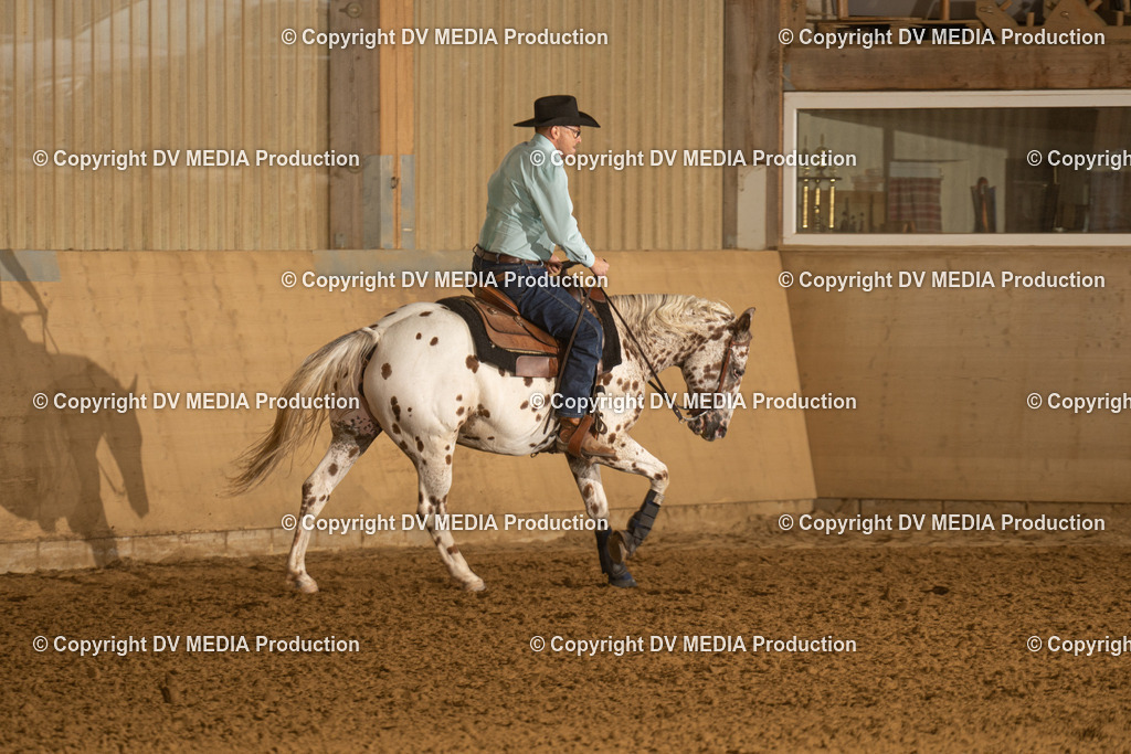 LAU00410 | dv-media-shop - Realisiert mit Pictrs.com