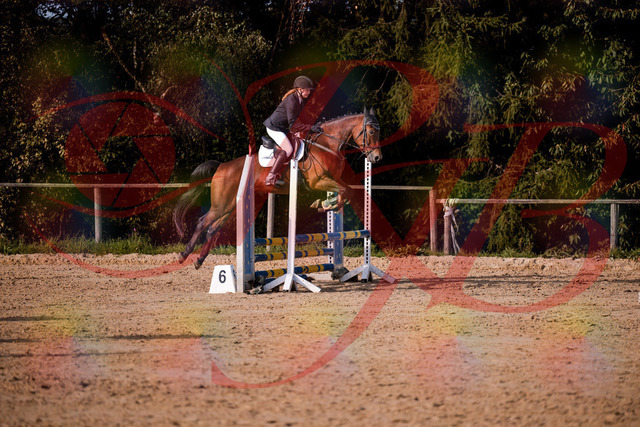 2026_10_03_Siefer-Hof_161057_Z81_90833149 | Professionelle Reitsport-, Turnier- und Eventfotografie von Robert Broda. Galerien mit ausgewählten und bearbeiteten Bildern direkt online ansehen und bestellen.