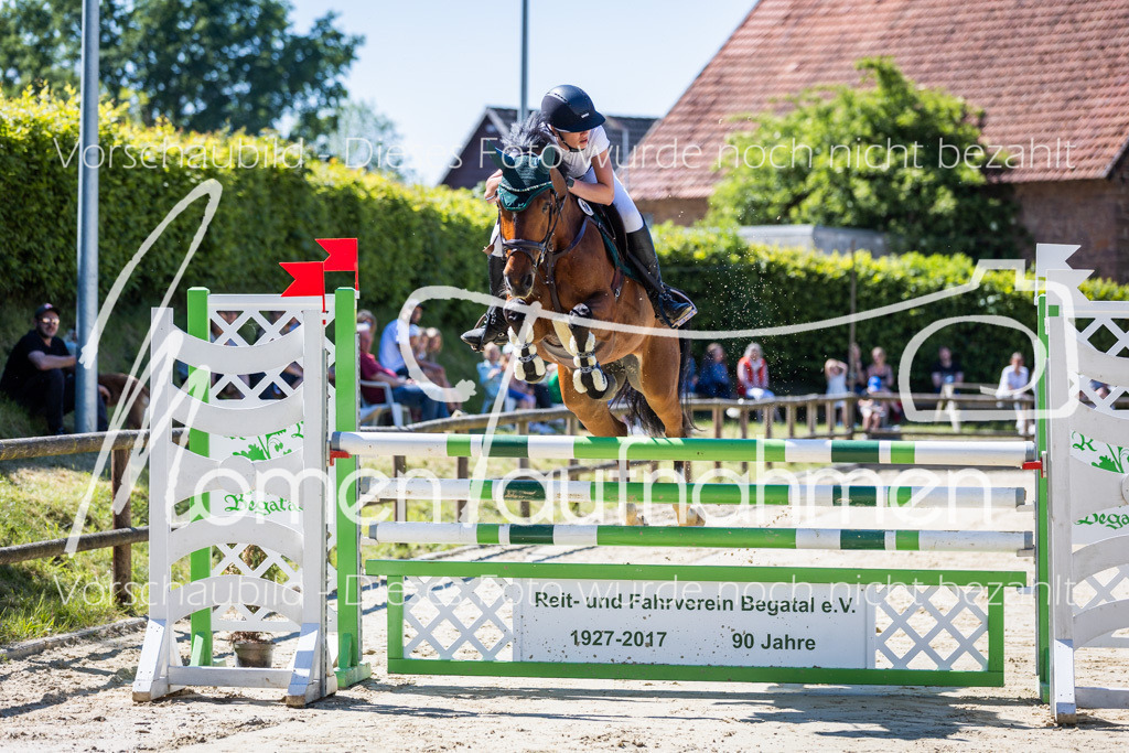 Donop24-M-Spr-017 | MomenTaufnahmen Pferdesportfotos