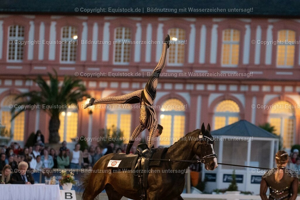 20230527_Voltigieren_NASPA_Flutlicht_0544 | equistock