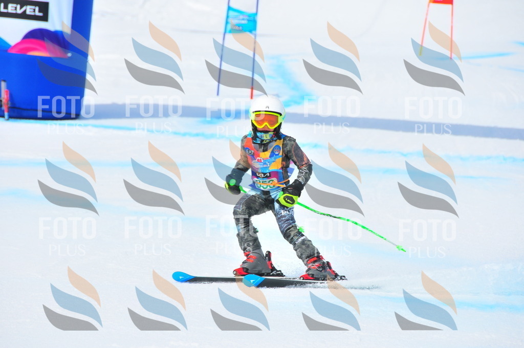 DSC_3174 | holidayphoto