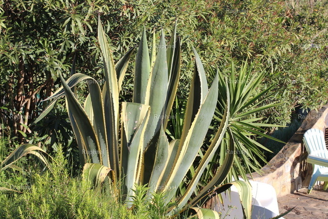 IMG_2912 | Raphael - Realisiert mit Pictrs.com