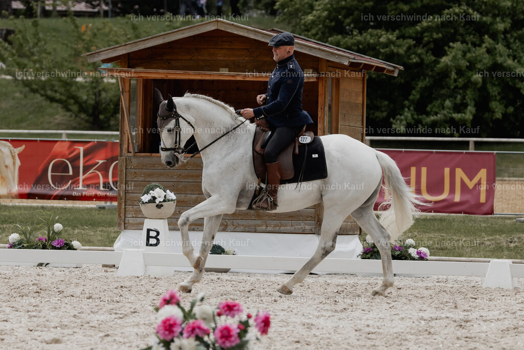 WE_DR_Stoib_327_PI2025_814 | Pferd International München 2025