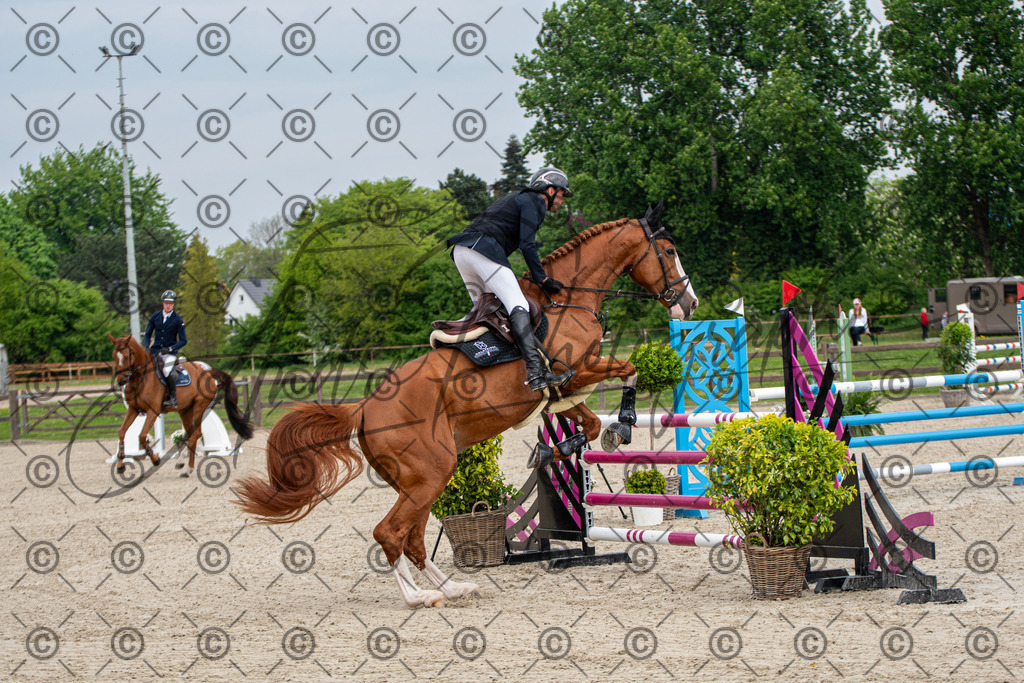 KPT_3025 | andre_photographic