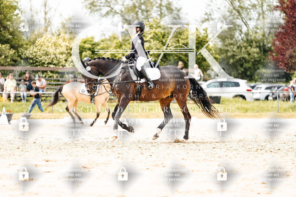 CK902577 | Turnierfotografie Pferdefotografie Trier Rheinland-Pfalz Pferdesport Reitsport Tierfotografie Sportfotografie Pferdevideo Pferdevideografie Equestrianvideography equestrianphotography  - Realisiert mit Pictrs.com