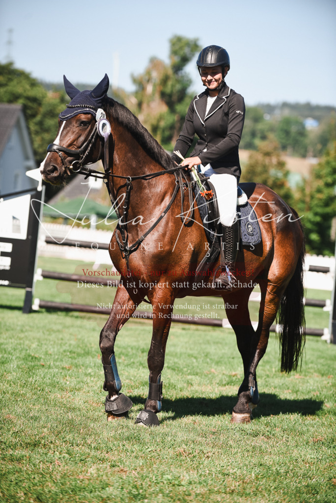 DSC_2617 | Pferde- und Turnierfotografie in Westsachsen. Pferdeportraits, Auftragszeichnungen und intuitive Kunst.