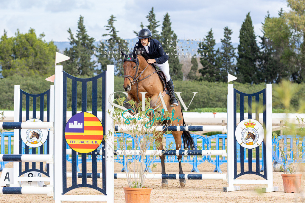 IMG_2540 | s-jay-photography - Realisiert mit Pictrs.com