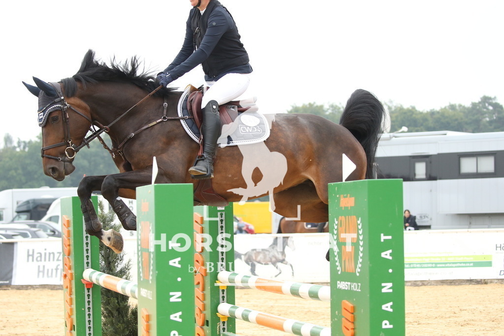 DL2Q6629 | Willkommen bei Brunnmayr - Design & Fotografie – Ihrem Spezialisten für Reitturniere und Pferdeveranstaltungen in Oberösterreich, Salzburg und Bayern! Seit über 17 Jahren sind wir leidenschaftlich dabei.