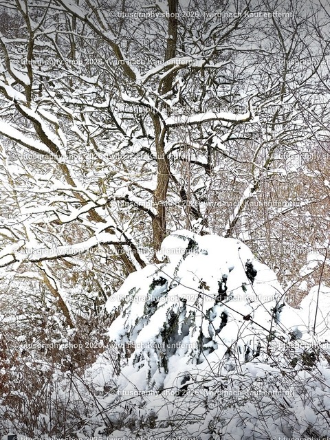 titusgraphy_IMG_2773-hdh_pe-03 | titusgraphy-shop: Geschenkideen mit Qualitätsfotos. titusgraphy-shop: gift ideas with quality photos. titusgraphy-shop: idées cadeaux avec photos de qualité.  - Realisiert mit Pictrs.com