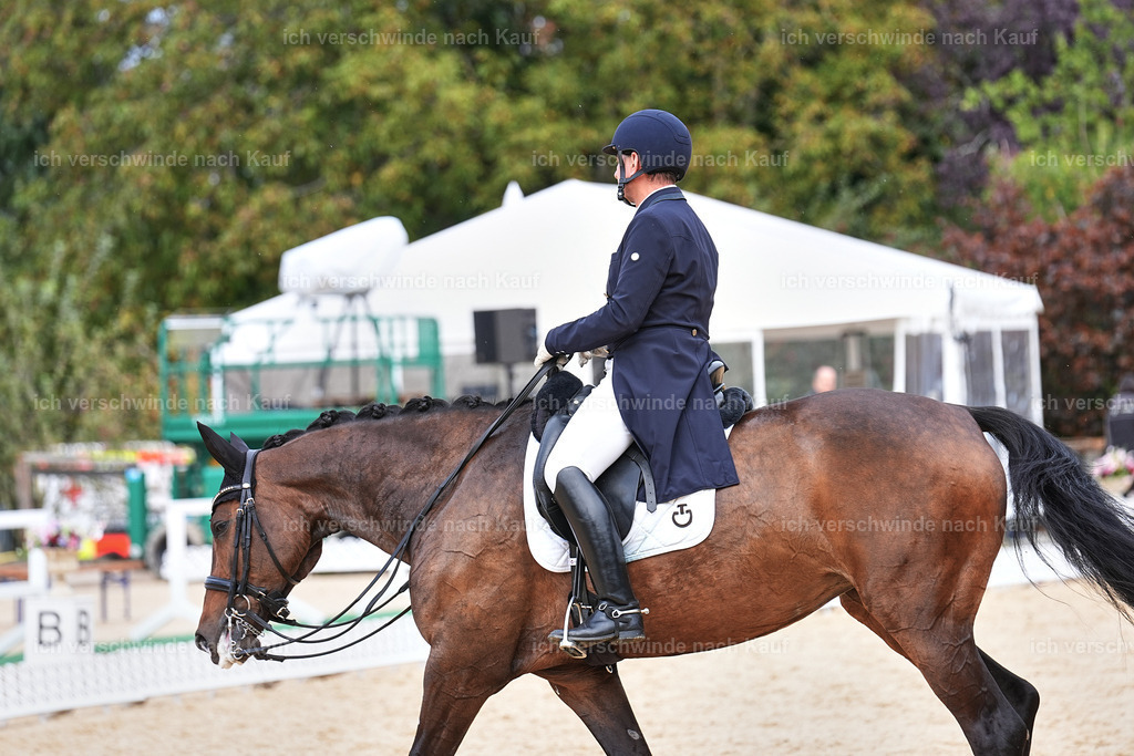 11-226-Dressur S___-Marixx-1742 | working equitationturnier fotograf videograf stoibphotography marixx film working equitation deutschland reitsport turnierfotografie eventfotografie equestrian events