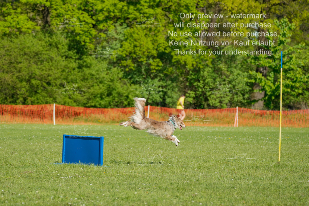 Sa_CSC-134 | stephaniefillaphotographie - Realisiert mit Pictrs.com