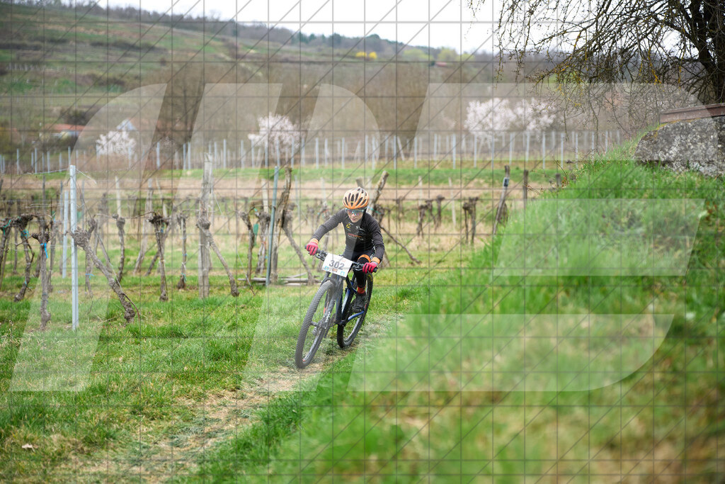 34. KTM Kamptal Trophy  | ZÖBING, Österreich – 2026-03-28: 34. KTM Kamptal TrophyFoto: © 2026 Martin Bihounek - MB Creative e.U.