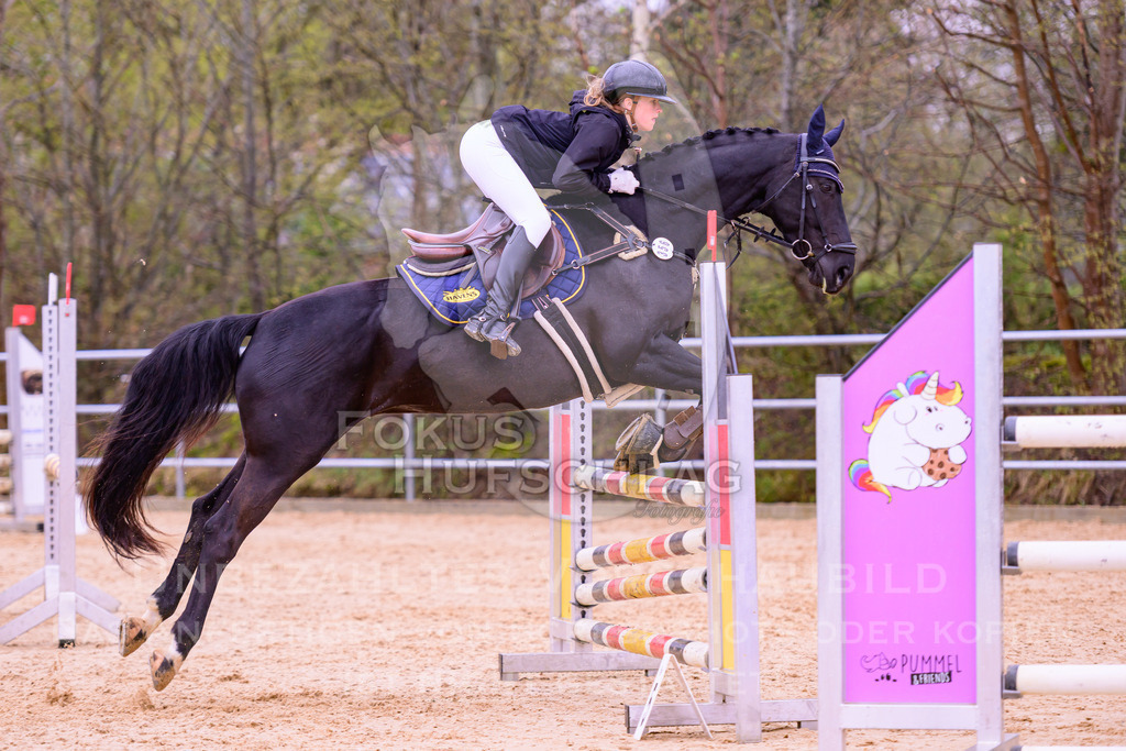 12042026-Mammendorf-Prfg38-0720 | Fokus Hufschlag Fotografie - Realisiert mit Pictrs.com