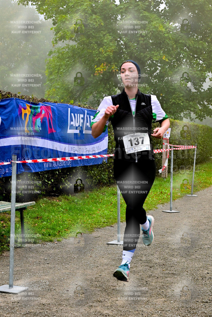 Z8N_2157 | la-psv - Realisiert mit Pictrs.com