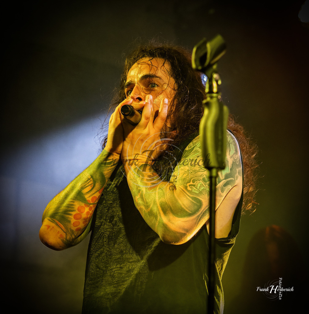 Justice Daudenwinden | Frank Herberich Fotografie, Frank Herberich, Fotografie, Hochzeit, Portrait, St. Peter Ording, Ording, Westerhever, Nordsee, Frank Fotografie, Hardheim,  Odenwald,Walldürn, Band,Eventfotografie - Realisiert mit Pictrs.com