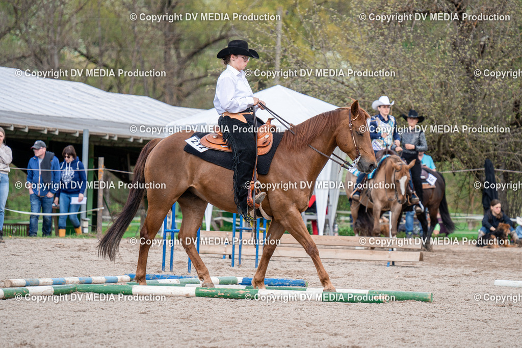 BAL02477 | dv-media-shop - Realisiert mit Pictrs.com